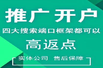 竞价广告的深度解析：以一知名品牌为例